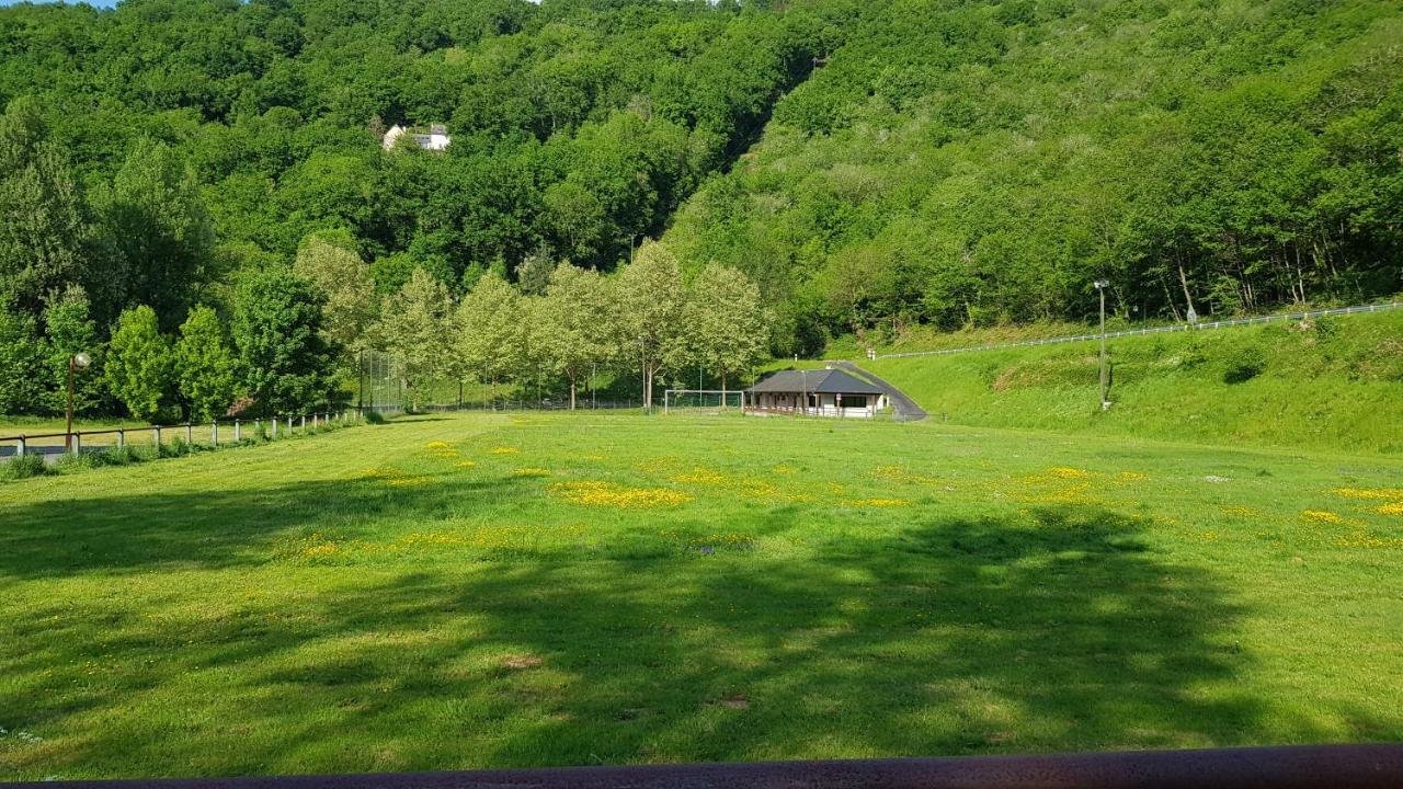 Village De 19 Gites Avec Piscine Et Restaurant, Grand Vabre Nature Conques Exterior foto